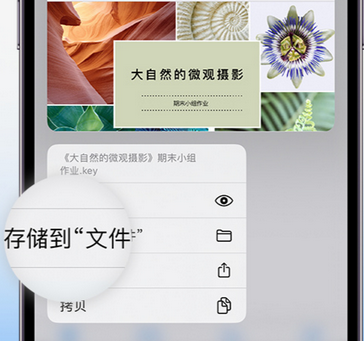 公主岭apple维修中心分享iPhone文件应用中存储和找到下载文件