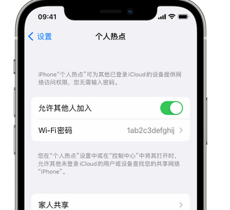 公主岭apple服务站点分享iPhone上个人热点丢失了怎么办