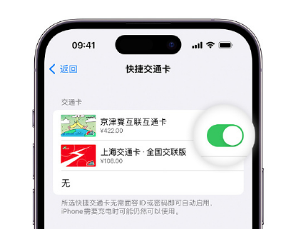 公主岭apple维修点分享iPhone上更换Apple Pay快捷交通卡手绘卡面 