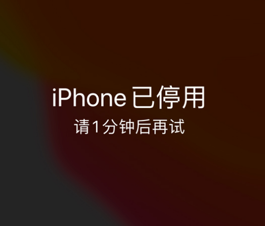 公主岭苹果手机维修分享:iPhone 显示“不可用”或“已停用”怎么办？还能保留数据吗？ 