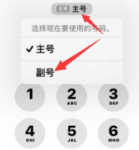 公主岭苹果14维修店分享iPhone 14 Pro Max使用副卡打电话的方法 