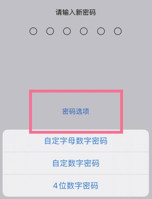 公主岭苹果14维修分享iPhone 14plus设置密码的方法 