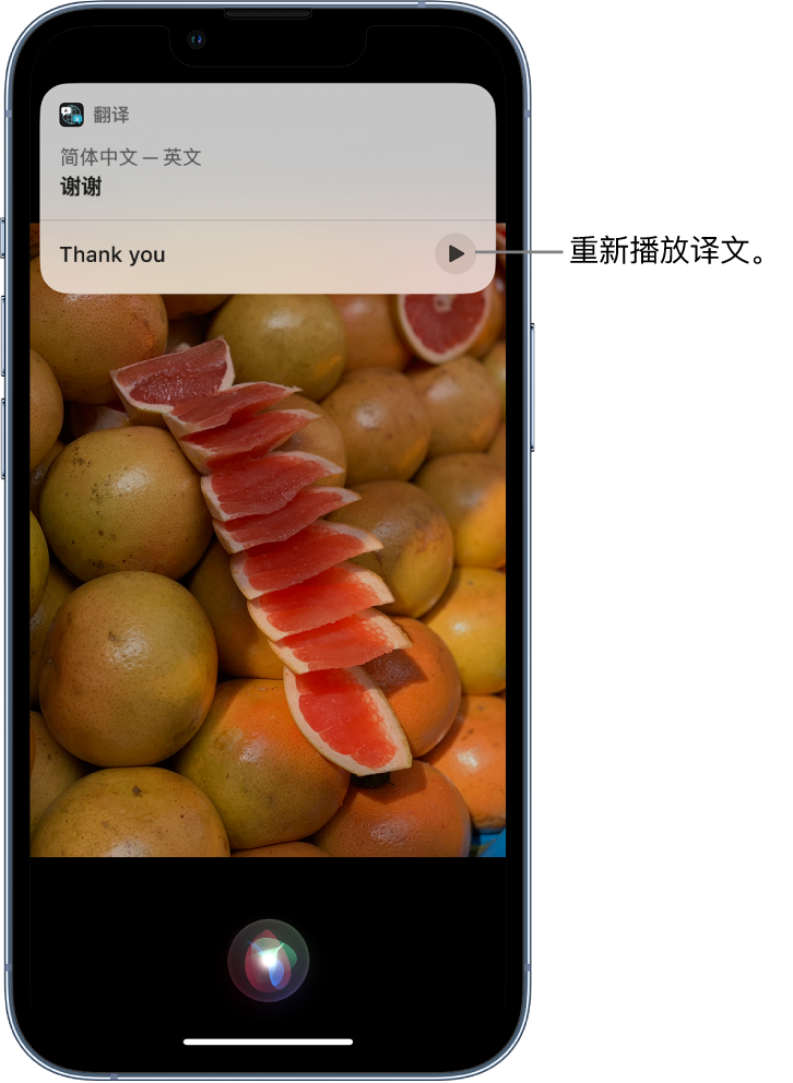 公主岭苹果14维修分享 iPhone 14 机型中使用 Siri：了解 Siri 能帮你做什么 