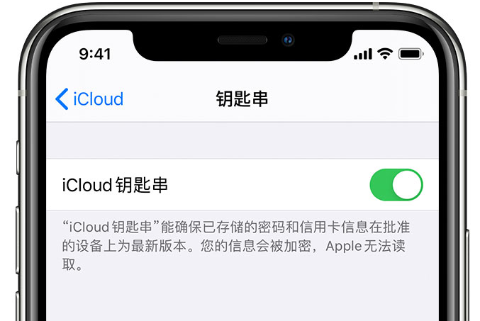 公主岭苹果手机维修分享在 iPhone 上开启 iCloud 钥匙串之后会储存哪些信息 